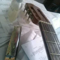 فروش و خریدار گیتار نو و کارکرده