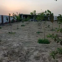 باغ ویلا داخل مجتمع ۱۰۰۰متری ملکی جاده آسفالت|فروش زمین و ملک کلنگی|مشهد, درزآب|دیوار