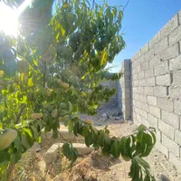 باغ و باغچه(برق چسب ملک)۳۰۸ متر