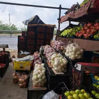 گوجه به قیمت گوجه ربی ۱۰تومان وتربار حراجی