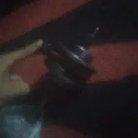 پرنده|پرنده|خرمشهر, |دیوار