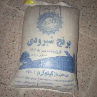 برنج شیرودی ایرانی