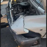 اسقاطی