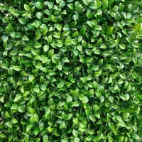 چمن مصنوعی ، گرین وال|مصالح و تجهیزات ساختمان|کرمانشاه, |دیوار