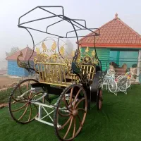 کالسکه اسب|اسب و تجهیزات اسبسواری|کازرون, |دیوار