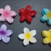 کلیپس پلومریا تک و عمده|بدلیجات|تهران, آزادشهر|دیوار