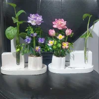 سنگ مصنوعی روز،پدر