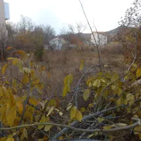 فروش باغ داخل بافت دو نبش|فروش زمین و ملک کلنگی|طالقان, |دیوار