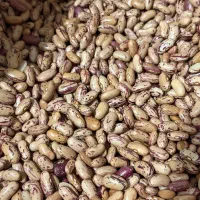 لوبیا چیتی پزا
