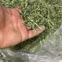 پوشال یونجه پلت غذای خرگوش خوکچه همستر بلوکه معدنی|لوازم جانبی حیوانات|مشهد, طلاب|دیوار