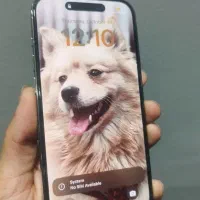iphone 14 pro|موبایل|تهران, بلوار کشاورز|دیوار
