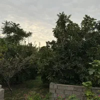 زمین-باغی-سنددار-400م-داخل-بافت-سنددار-قیمت-مناسب