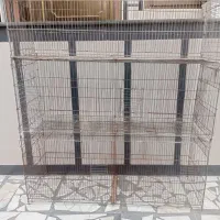 قفس پرنده