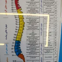 خدمات صندلی وتخت ماساژ درمانی|خدمات آرایشگری و زیبایی|شیراز, زرهی|دیوار