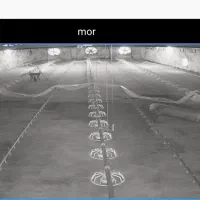 فروشی|فروش دفتر صنعتی، کشاورزی، تجاری|راور, |دیوار