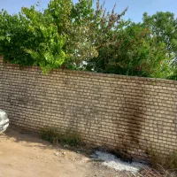 فروش-باغچه-فین-بزرگ