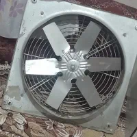 فن ۶۰ در۶۰ نو نو|پنکه و تصفیه‌کنندهٔ هوا|فاضل آباد, |دیوار