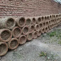 کلنی زنبورعسل ‌سنتی سبد
