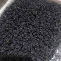 کشمش آفتابی  خراسان|خوردنی و آشامیدنی|کرمان, |دیوار