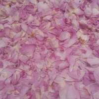 نیسان بار هستم از گناباد برای مشهد