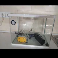 اکواریوم|ماهی|ایلام, |دیوار