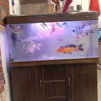 آکواریوم ۱۲۰ ماهیران با کمد