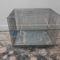 قفس پرنده|لوازم جانبی حیوانات|تهران, تختی|دیوار