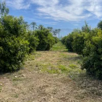 اجاره پنج هزار متر زمین کشاورزی محصور