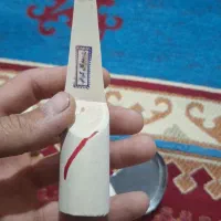 تیغ نیش زنی اصلی یلمندی