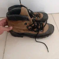 پوتین آمریکایی دنر