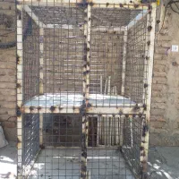 قفس مرغ و خروس اهنی|لوازم جانبی حیوانات|بوکان, |دیوار