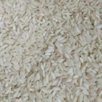 برنج چمپا اصل