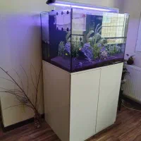 اکواریوم ریملس