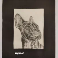 آموزش تخصصی نقاشی کودکان و بزرگسالان|خدمات آموزشی|ایلام, |دیوار