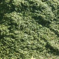 ذرت علوفه دامی کیلو ۴۵۰۰|عمده‌فروشی|هلالی, |دیوار