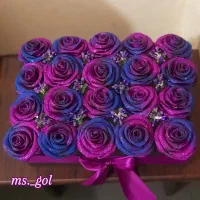 گل روبانی جاودان