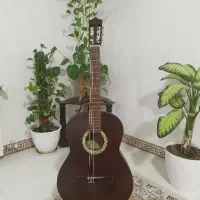 گیتارsolea