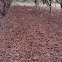 شخم زدن با تیلر|خدمات باغبانی و درختکاری|الوند, |دیوار