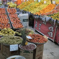 استخدام کارگر ساده یا ماهر برای میوه فروشی