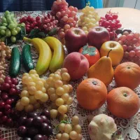 میوه های مصنوعی