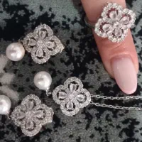 سرویس اکسسوری