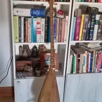 دوتار دستساز کلکسیونی|سازهای سنتی|بهشهر, |دیوار