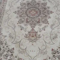 خوب|فرش|کرج, گلشهر|دیوار