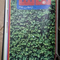 فروش مجلات تماشا|کتاب و مجله تاریخی|تهران, تهرانپارس جنوبی|دیوار