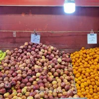 سیب زرد و قرمز آبگیری