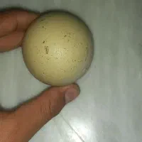 سنگ الماس