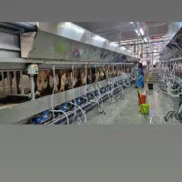 کارگر خانواده جهت کار در گاوداری