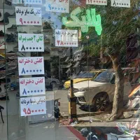 فروش کفش وکتانی همراه با ویترین