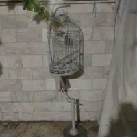 قفس پرنده