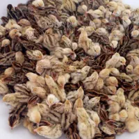 جوجه بلدرچین یک روزه، ۳ روزه، ۷ روزه